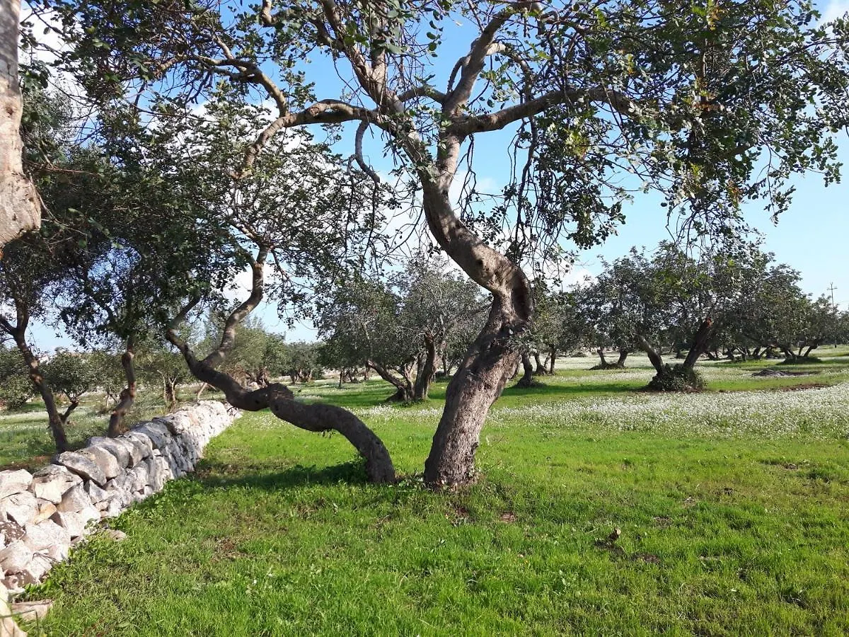 Scicli Citta Felice Villa Holiday home